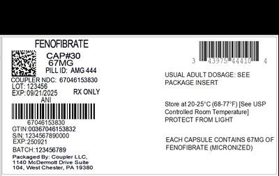 Label (43975 444 10 Fenofibrate 67mg 67046 1538 30)